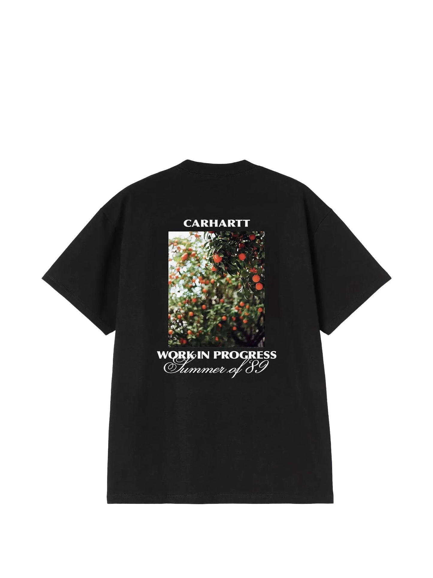 Carhartt S/S Warm Views T-Shirt