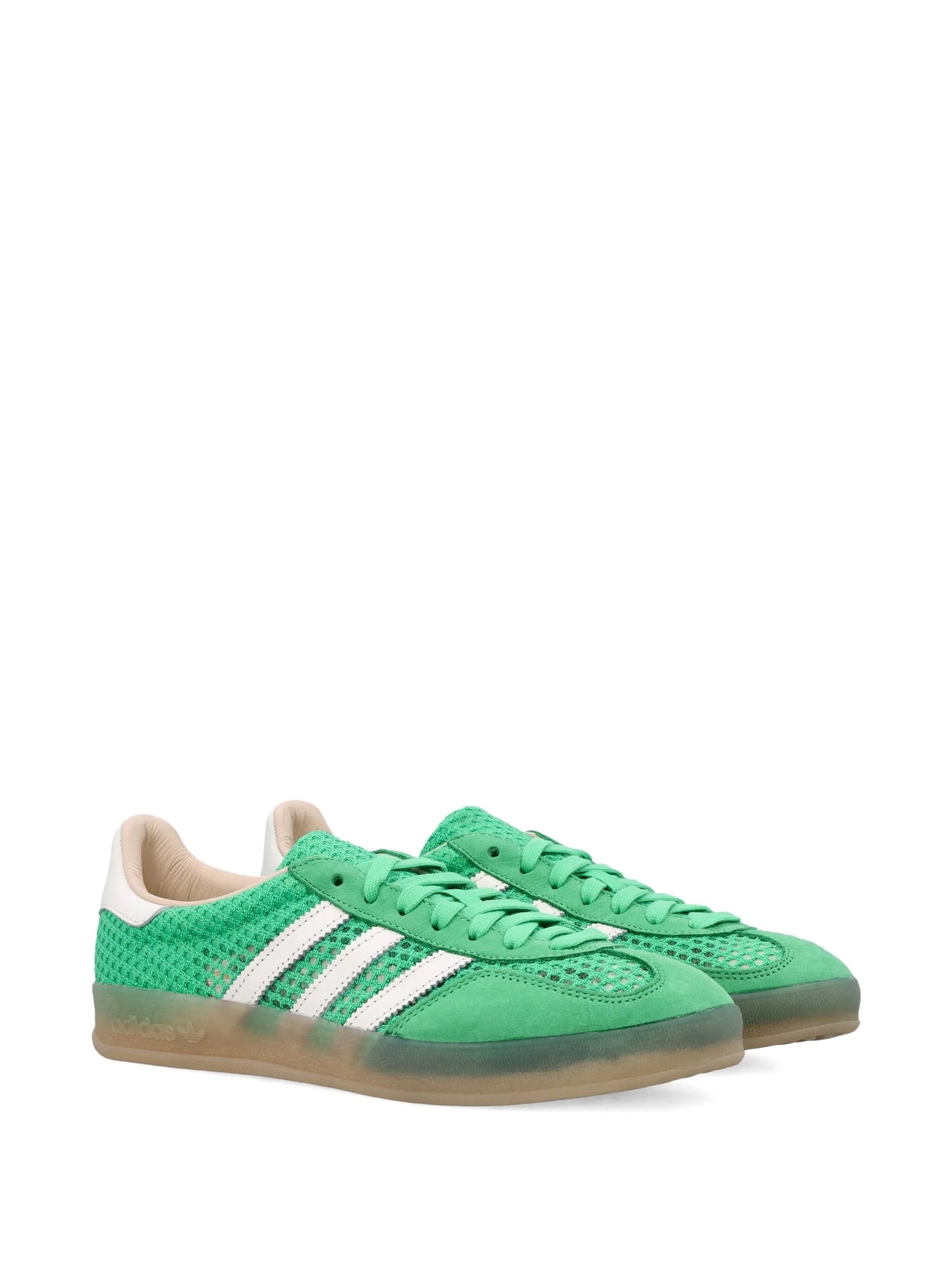 Gazelle Indoor