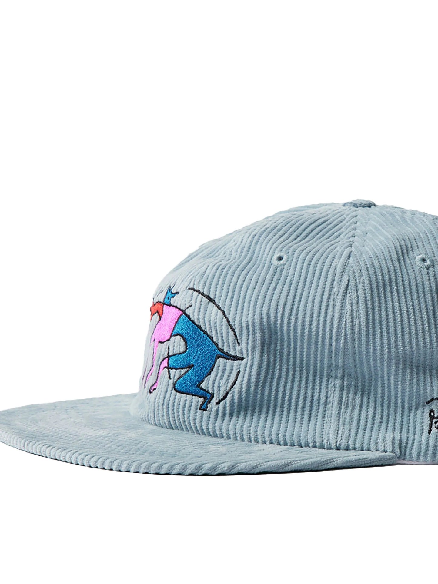 The zoomies 6 panel hat