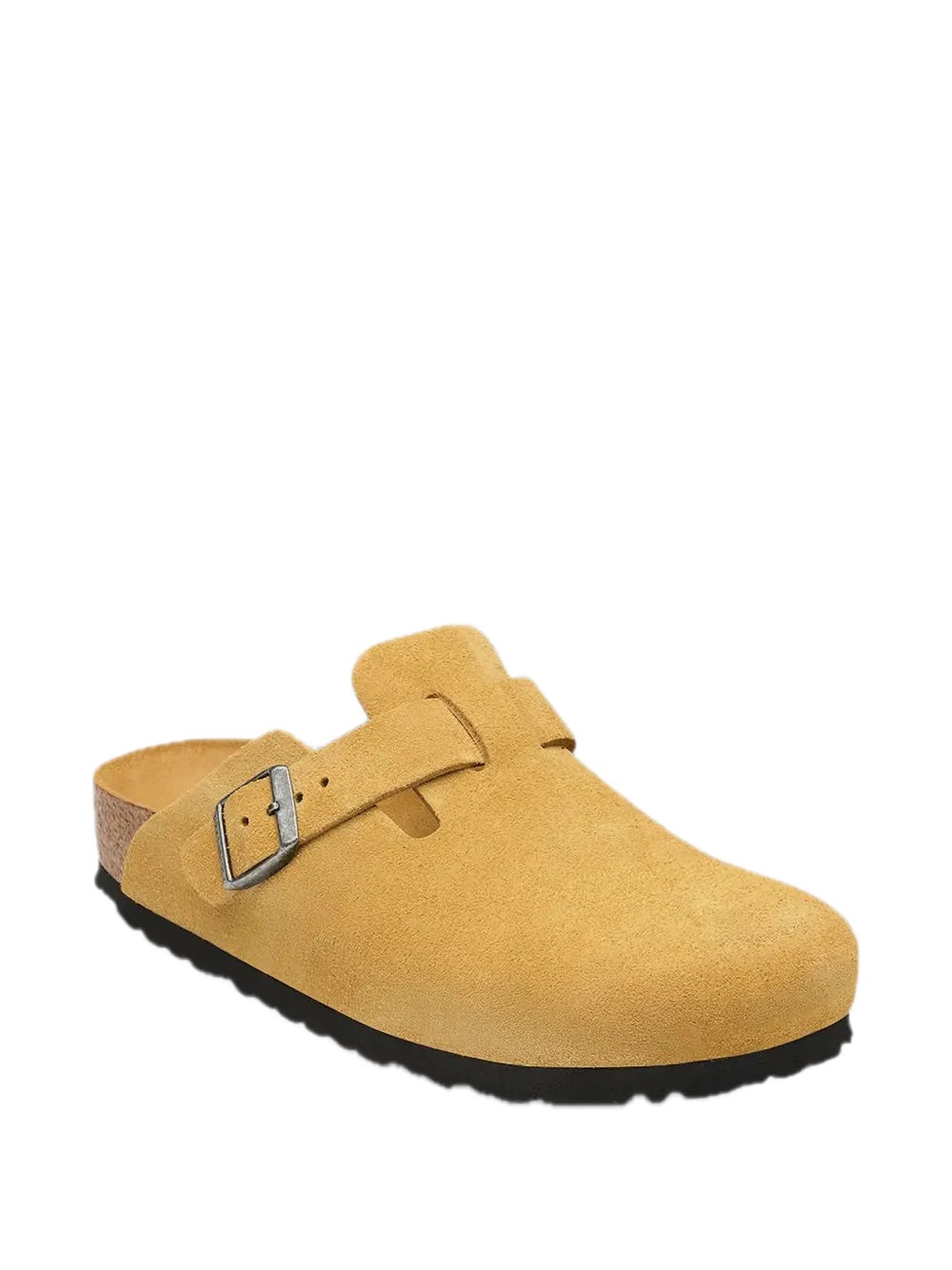 Boston Sfb