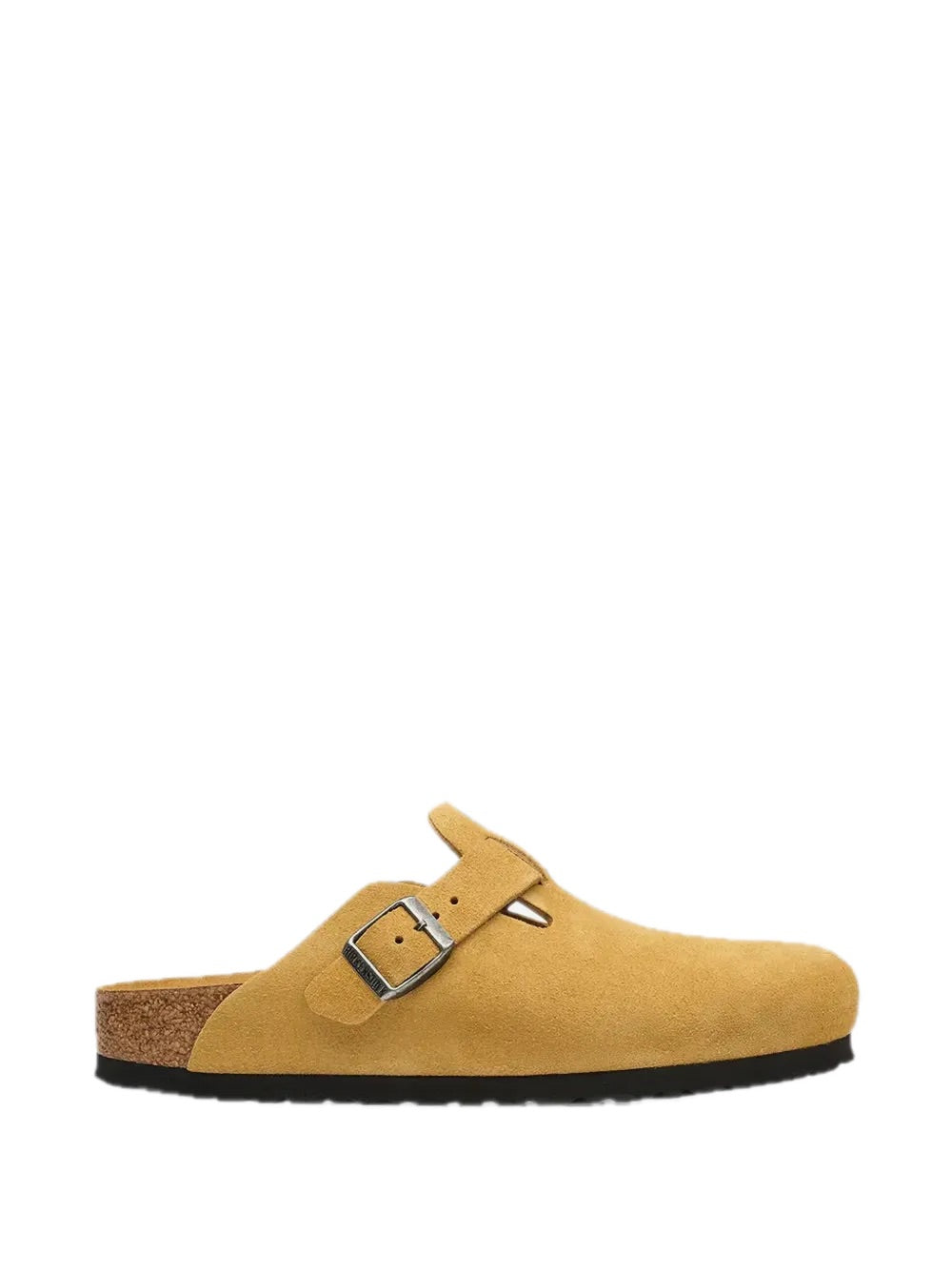 Boston Sfb
