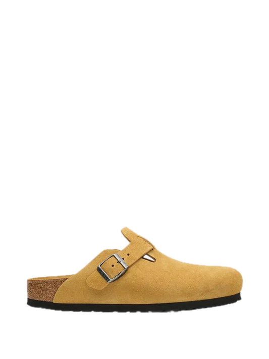 Boston Sfb