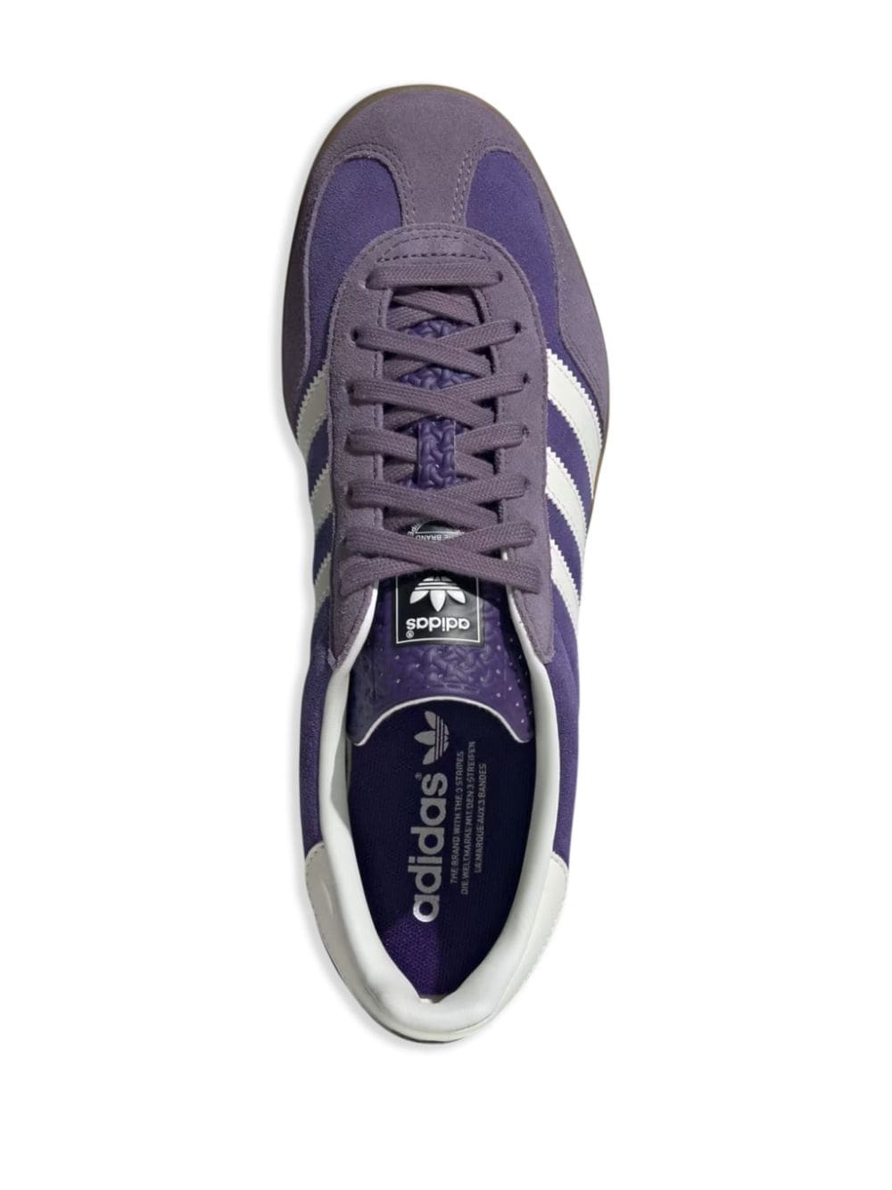 Gazelle Indoor