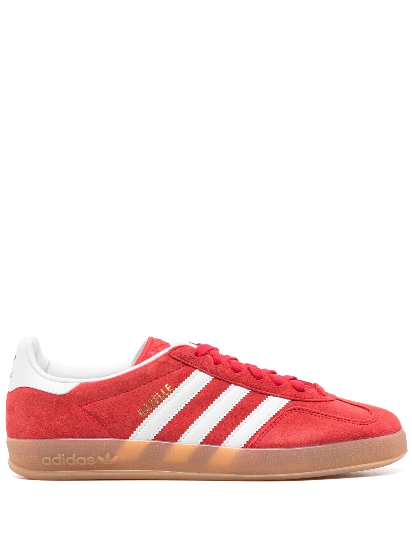 Gazelle Indoor