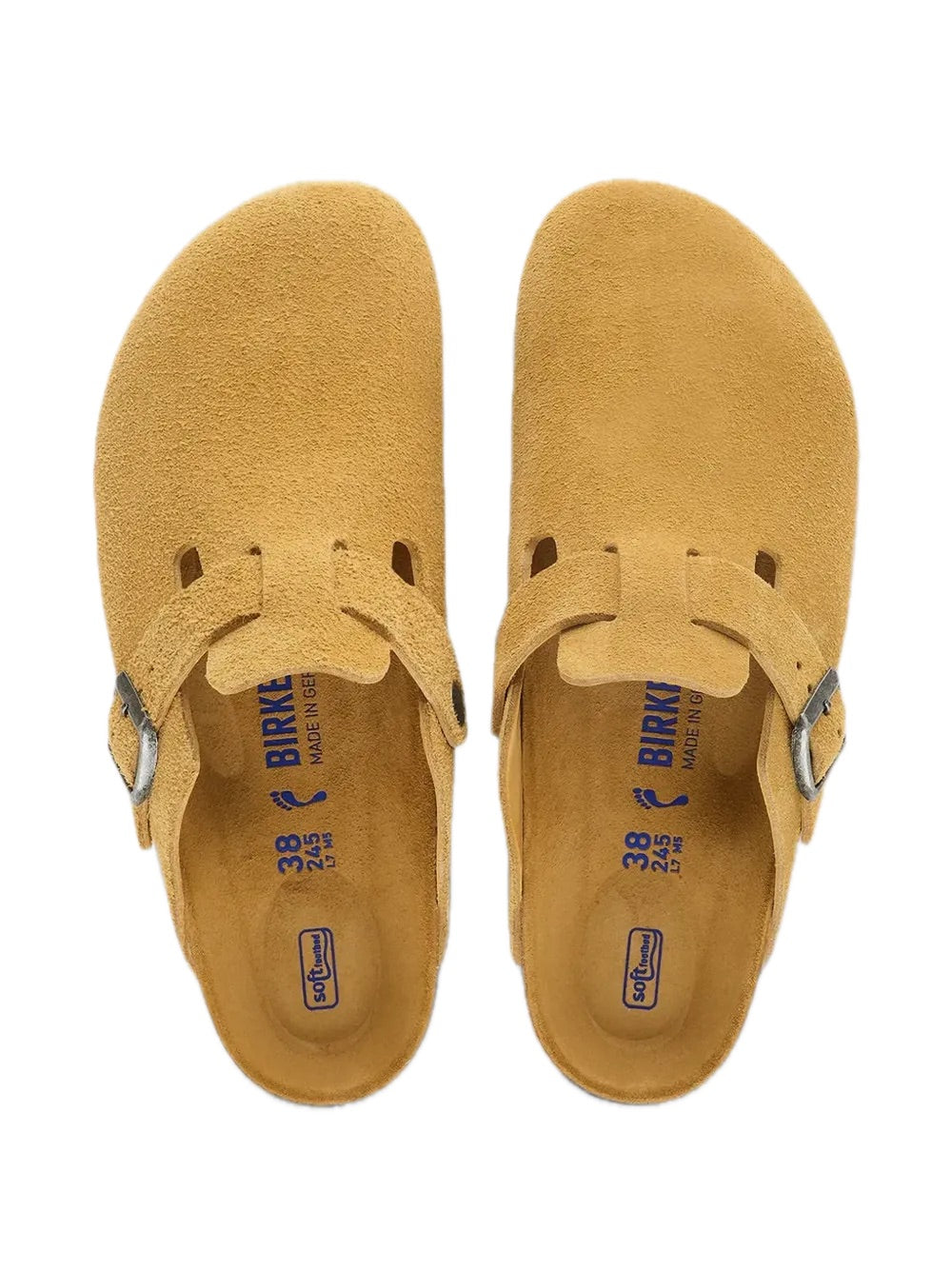 Boston Sfb